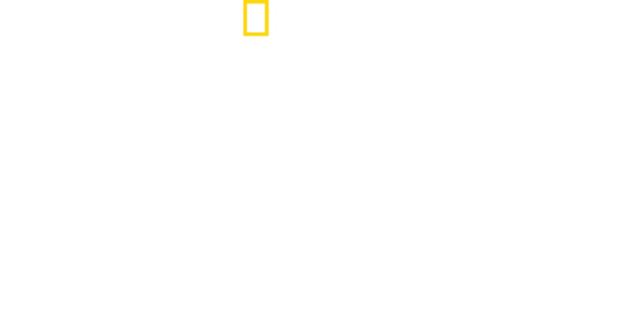 Dr. K: Urgențe exotice