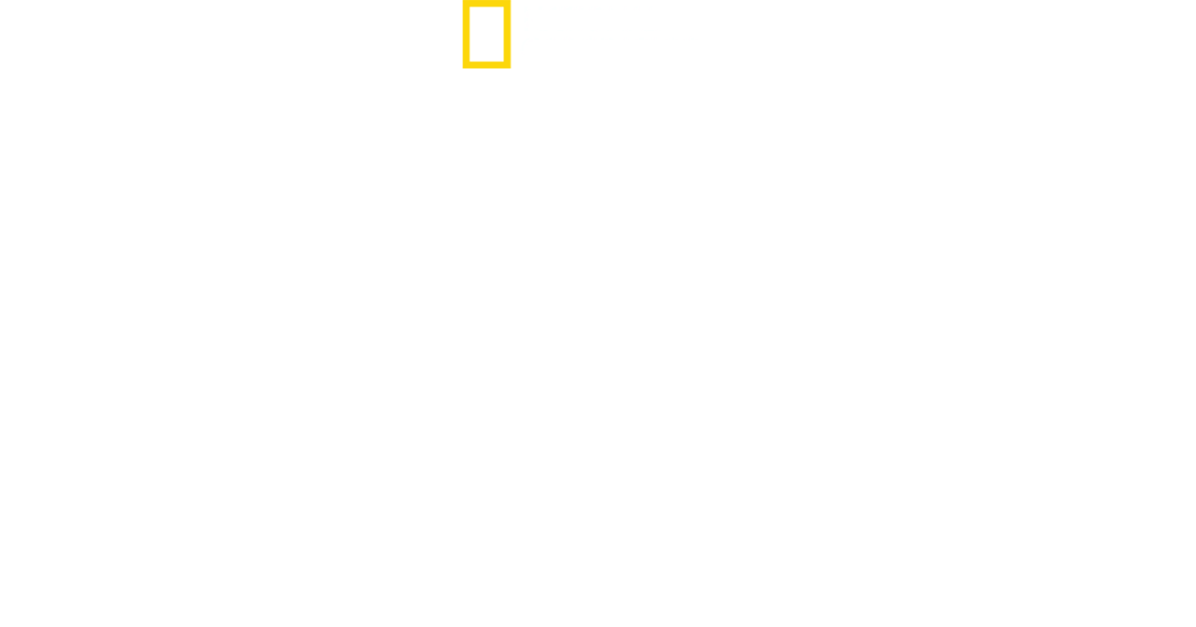 Dr. K: Urgențe exotice