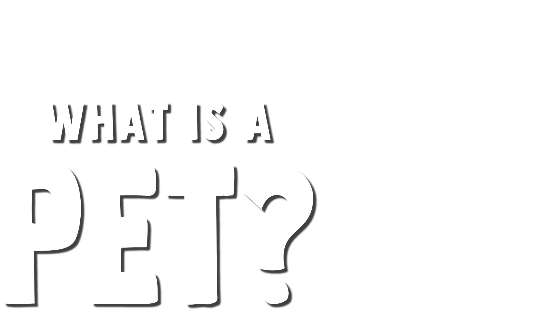 Forky Asks a Question: What is a Pet?