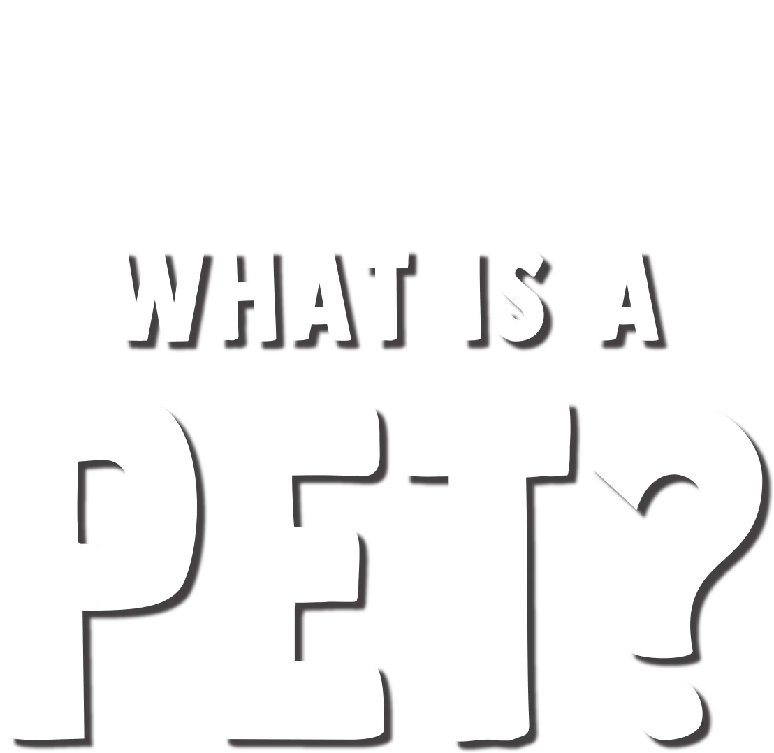 Forky Asks a Question: What is a Pet?