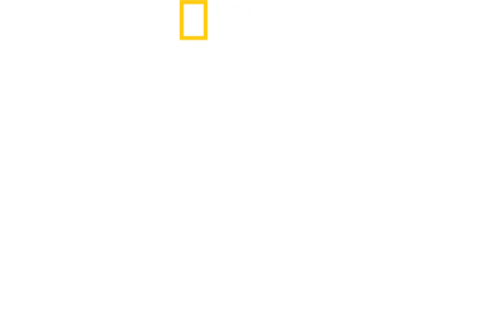 Dziki świat