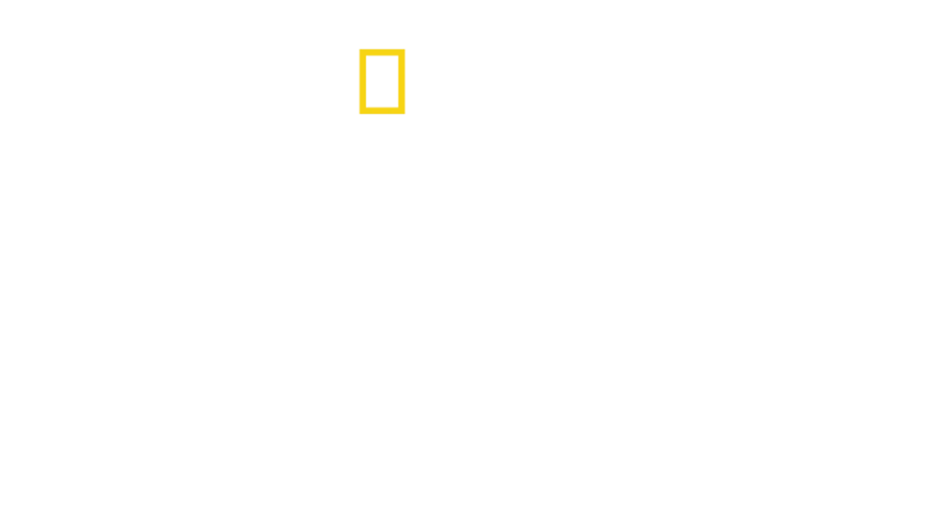 Aeroporto: Estados Unidos