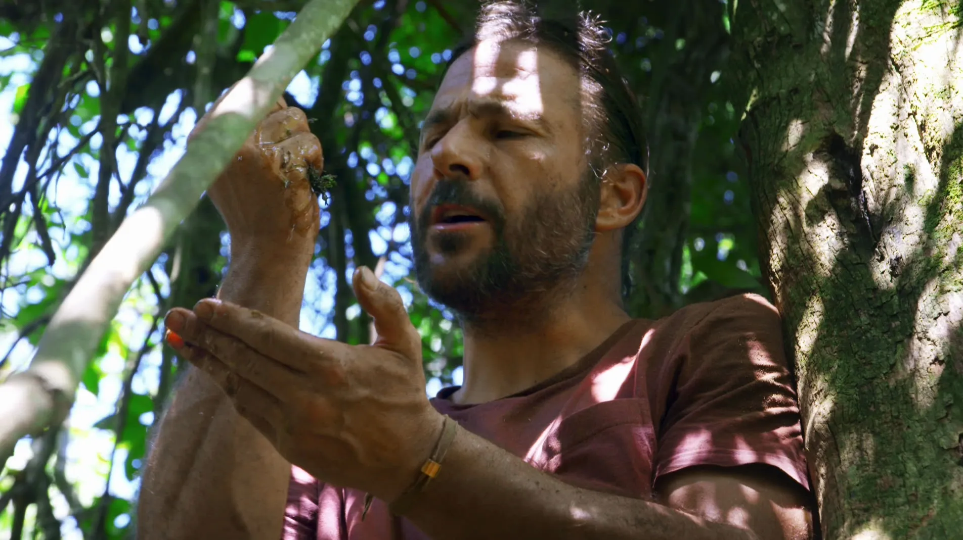 thumbnail - S1:E1 Jagged Jungle