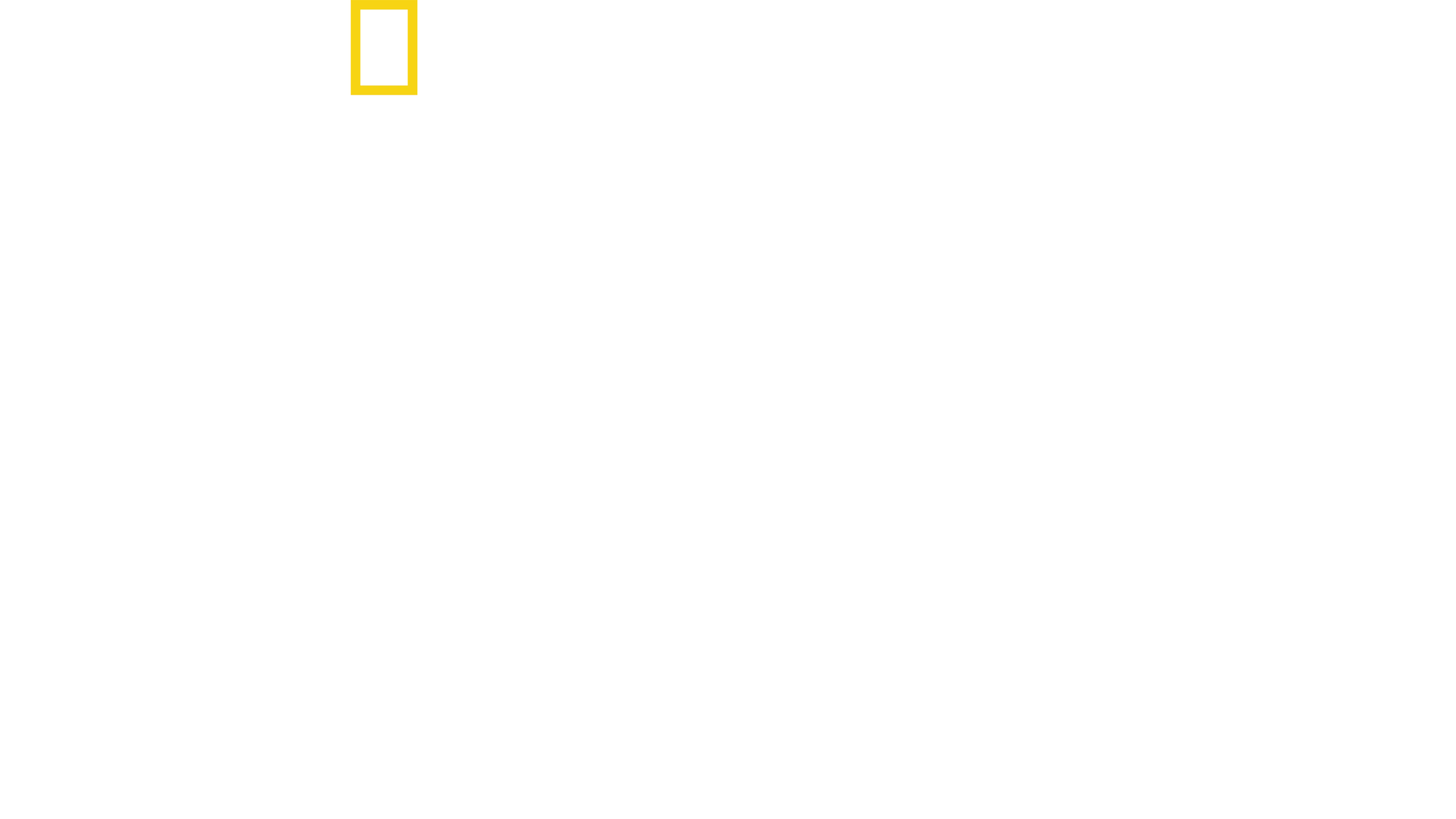 Το Τάγμα Θανάτου του Χίτλερ
