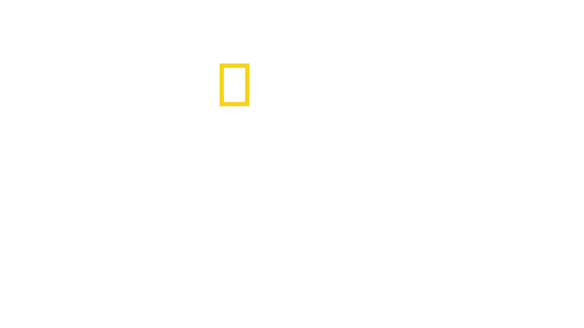 《鯨之奧妙》