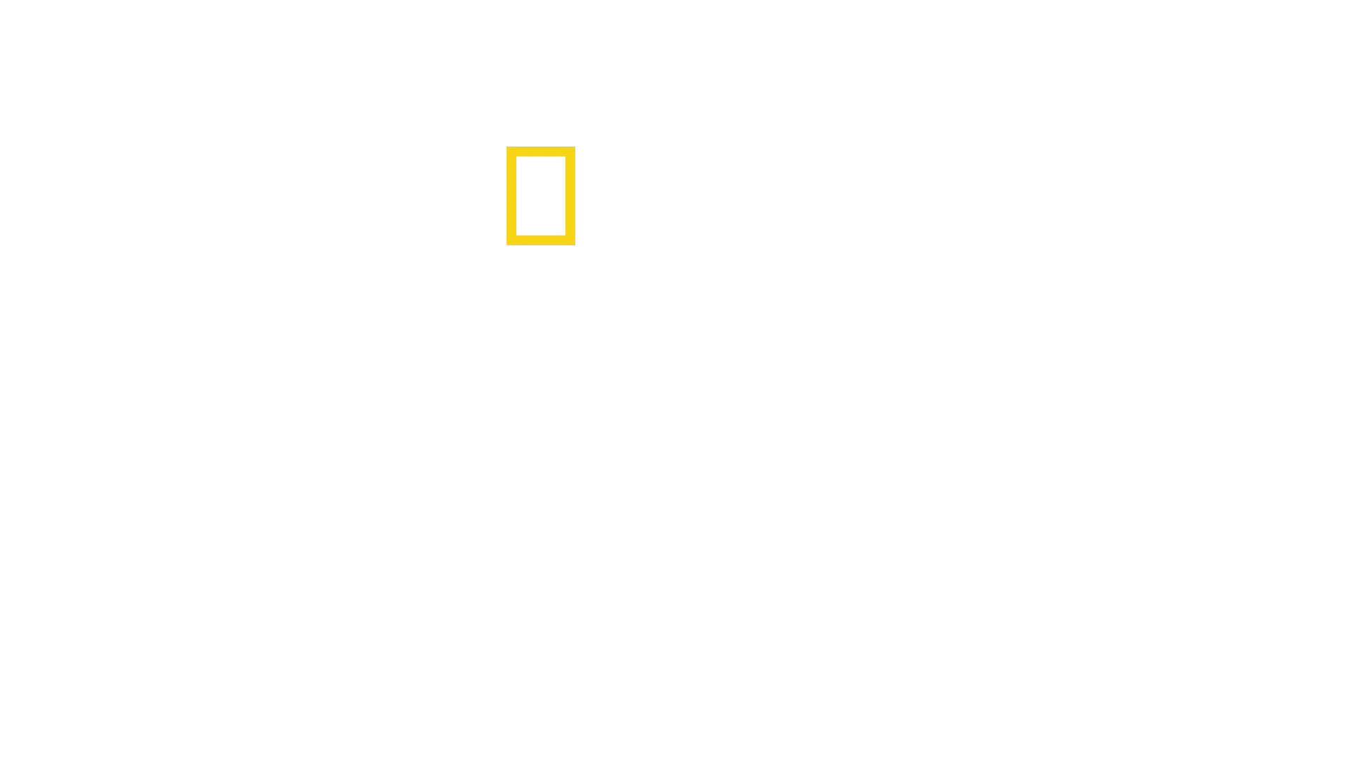 《鯨之奧妙》