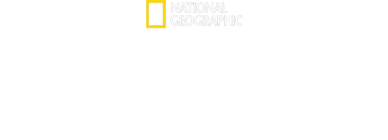 《鯨之奧妙》