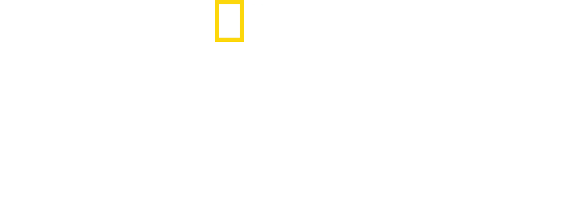 《鯨之奧妙》