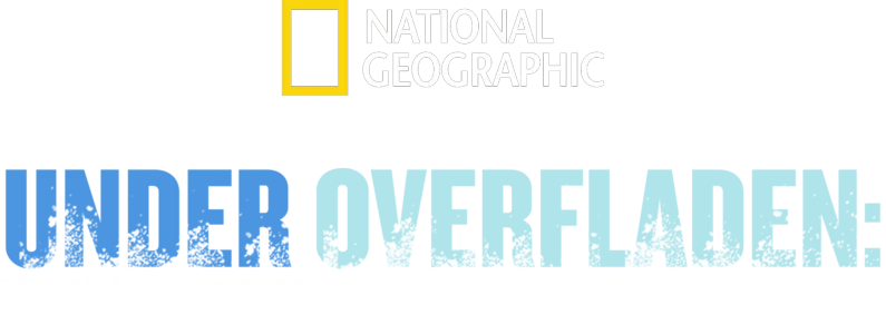 Under overfladen: Den sunkne piratby