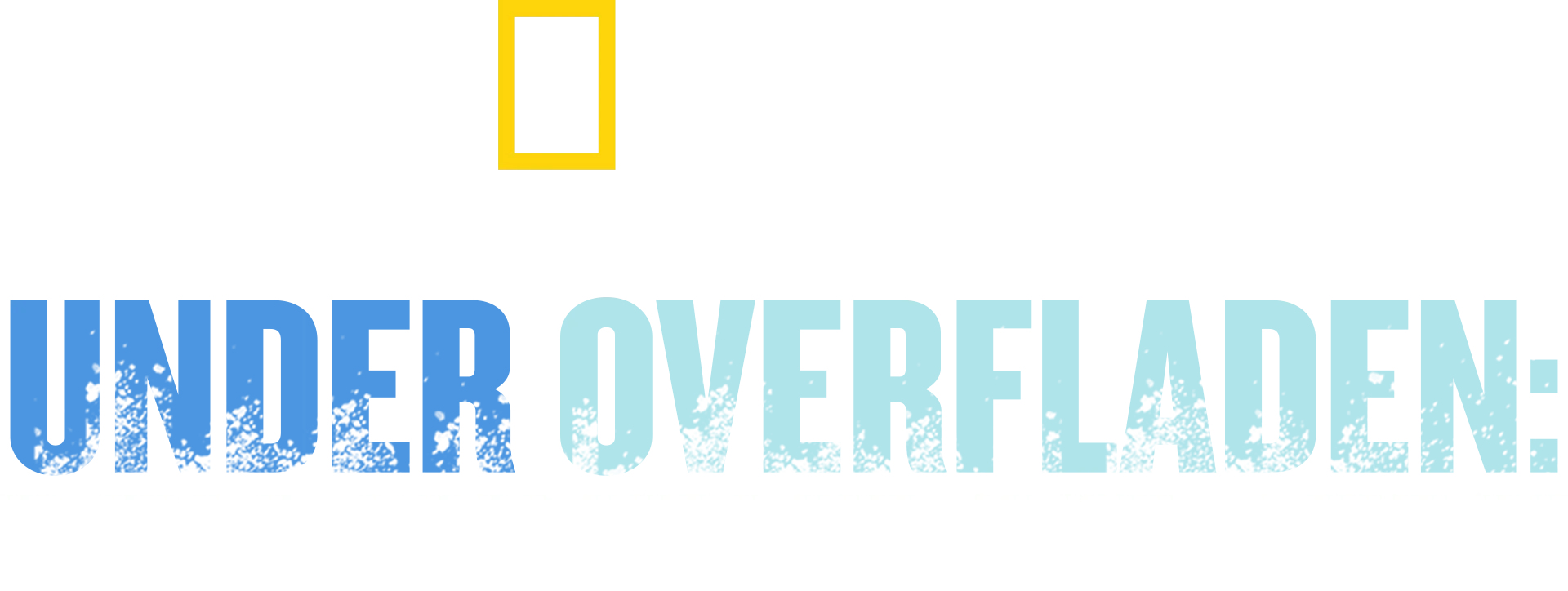 Under overfladen: Den sunkne piratby