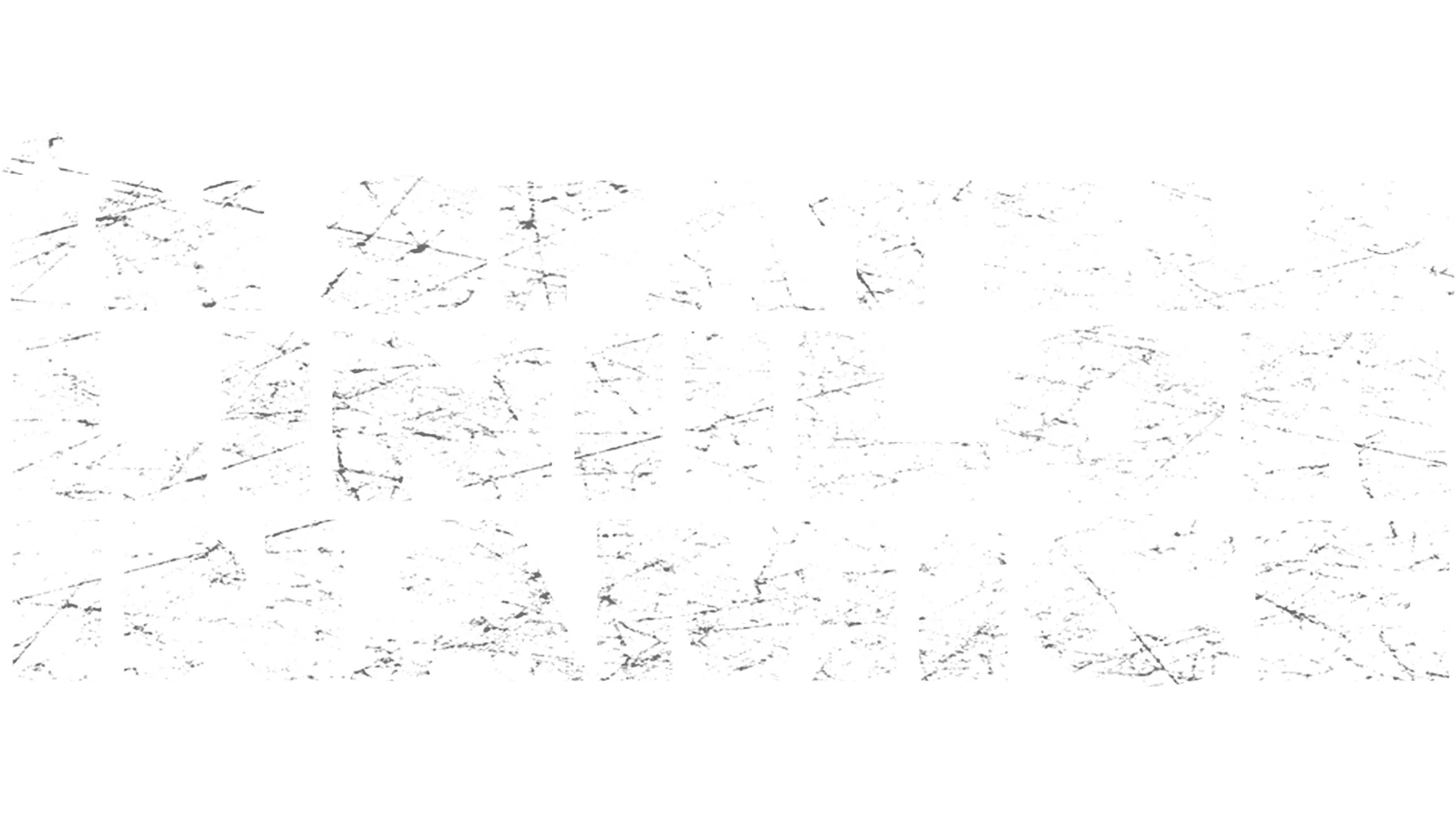 In spatele liniilor inamice