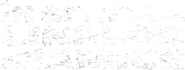 In spatele liniilor inamice
