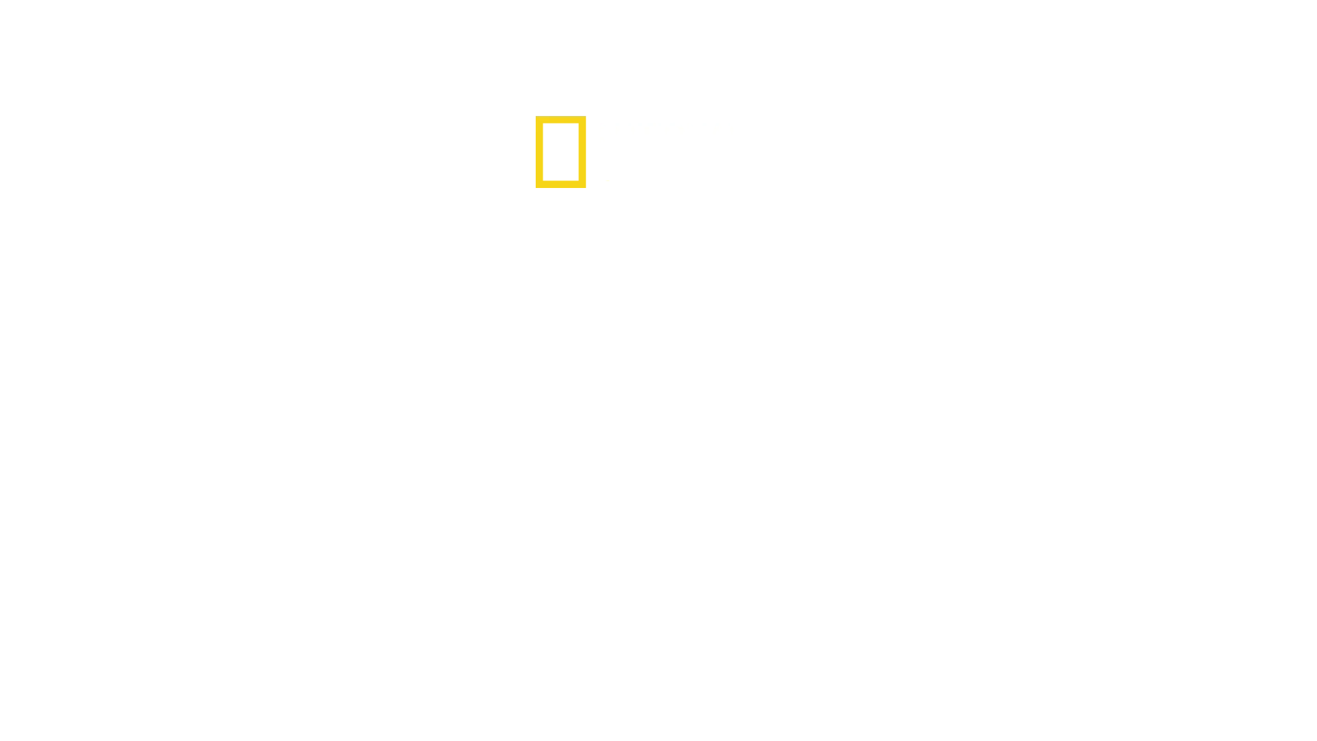 Imperio salvaje