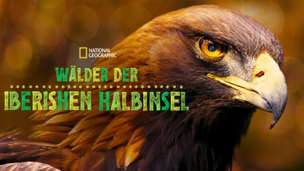thumbnail - Wälder der Iberischen Halbinsel