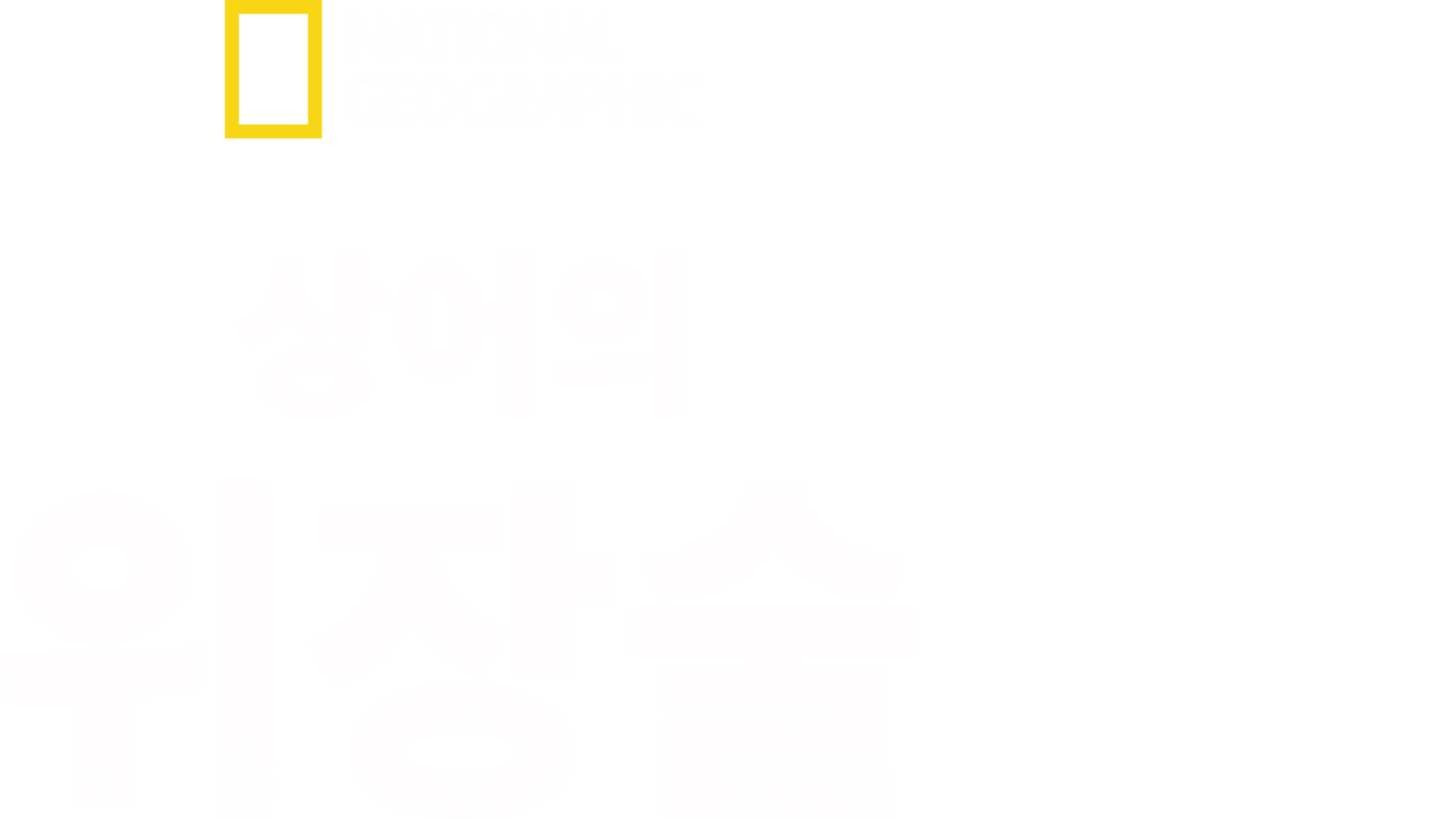 유령 상어