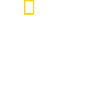유령 상어