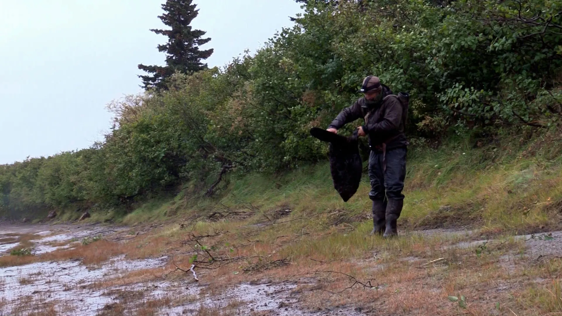 thumbnail - S9:E4 The Beaver