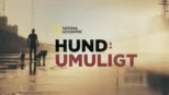 thumbnail - Hund: Umuligt