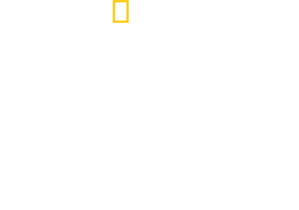Vahşi Yaşam