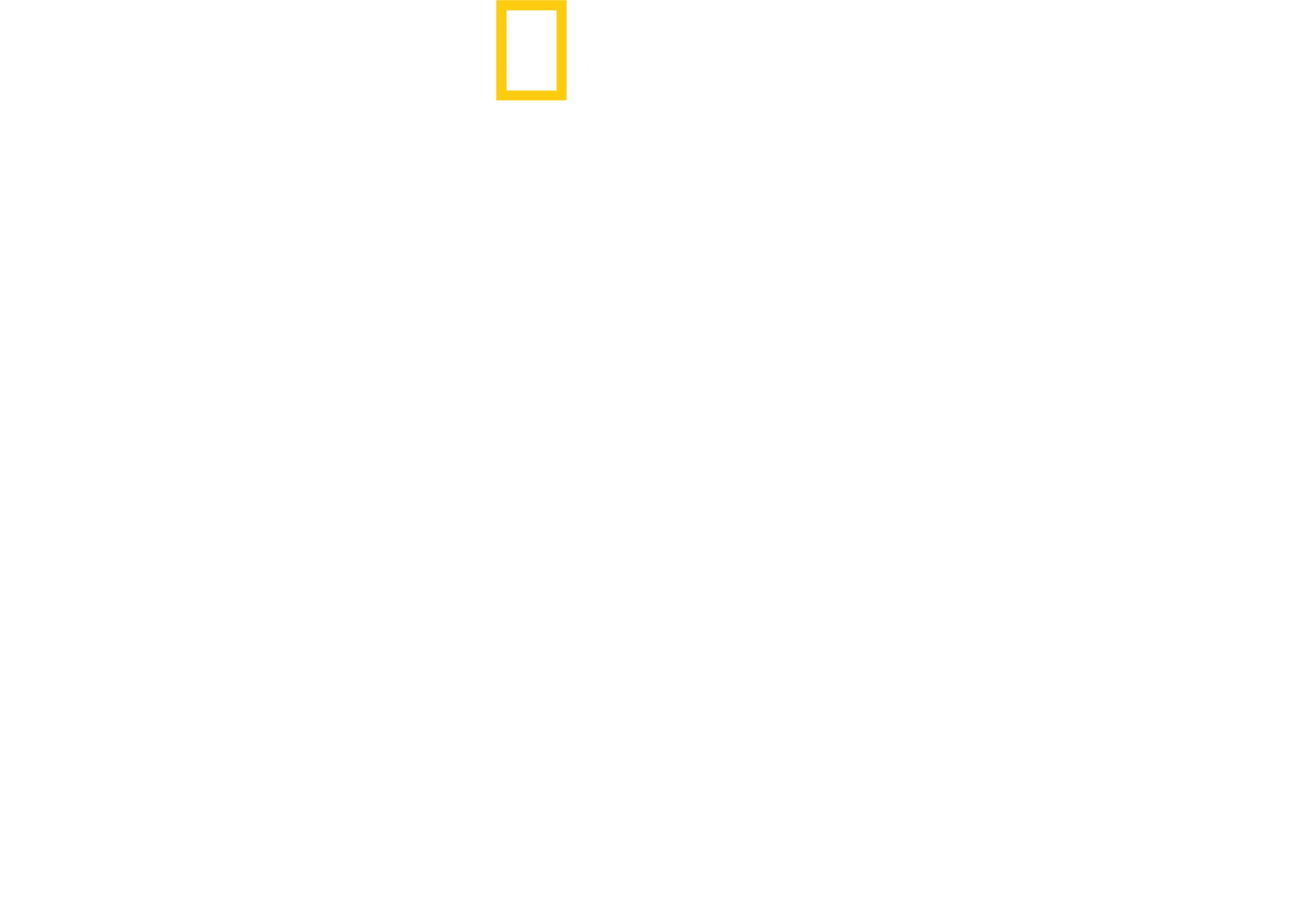 Vahşi Yaşam