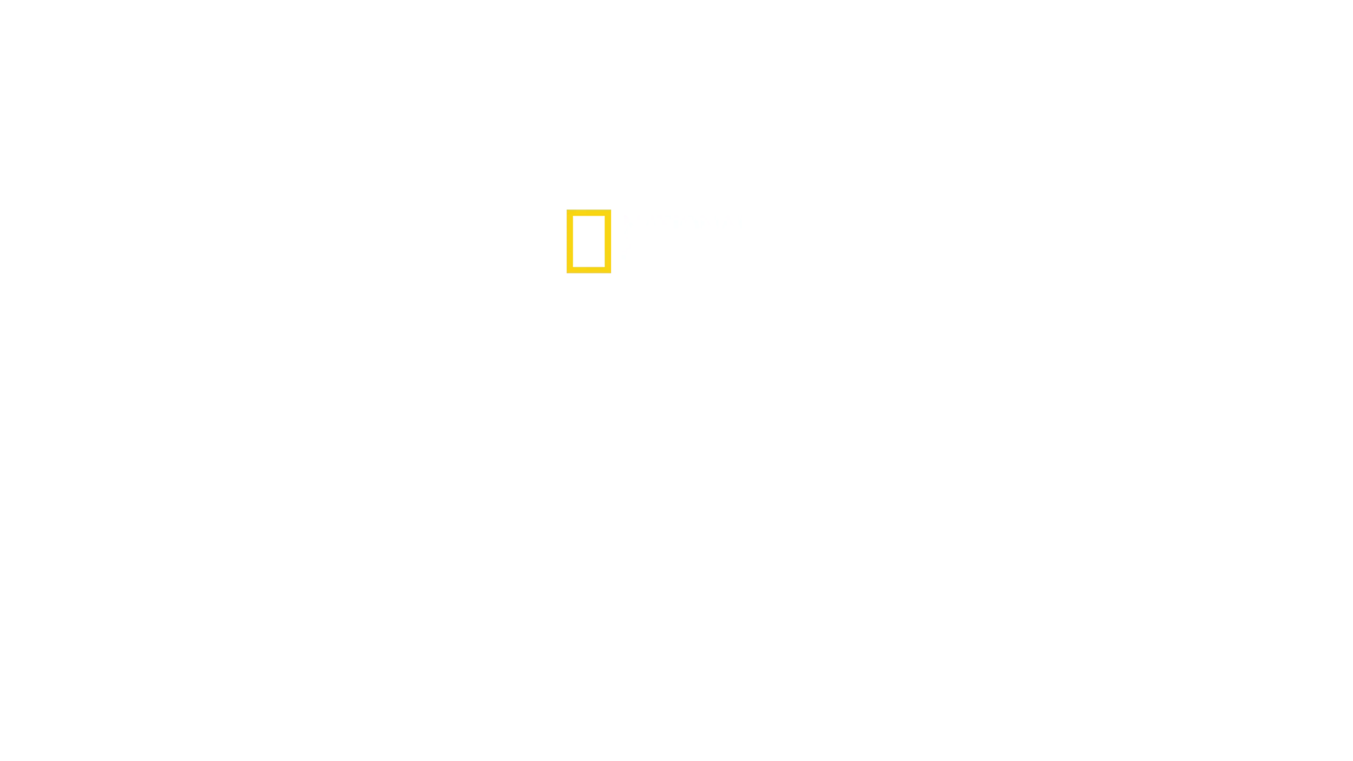 The Hidden Holocaust