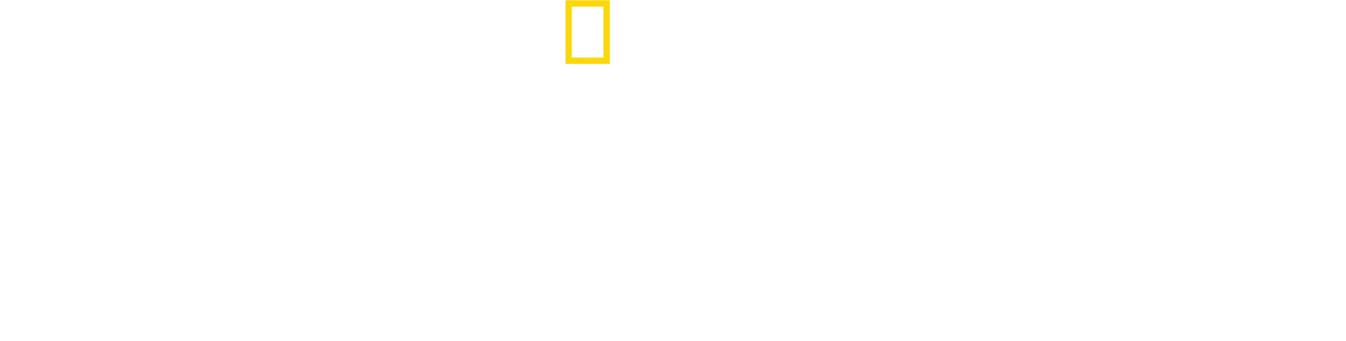 The Hidden Holocaust