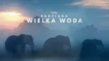 thumbnail - Nadciąga wielka woda