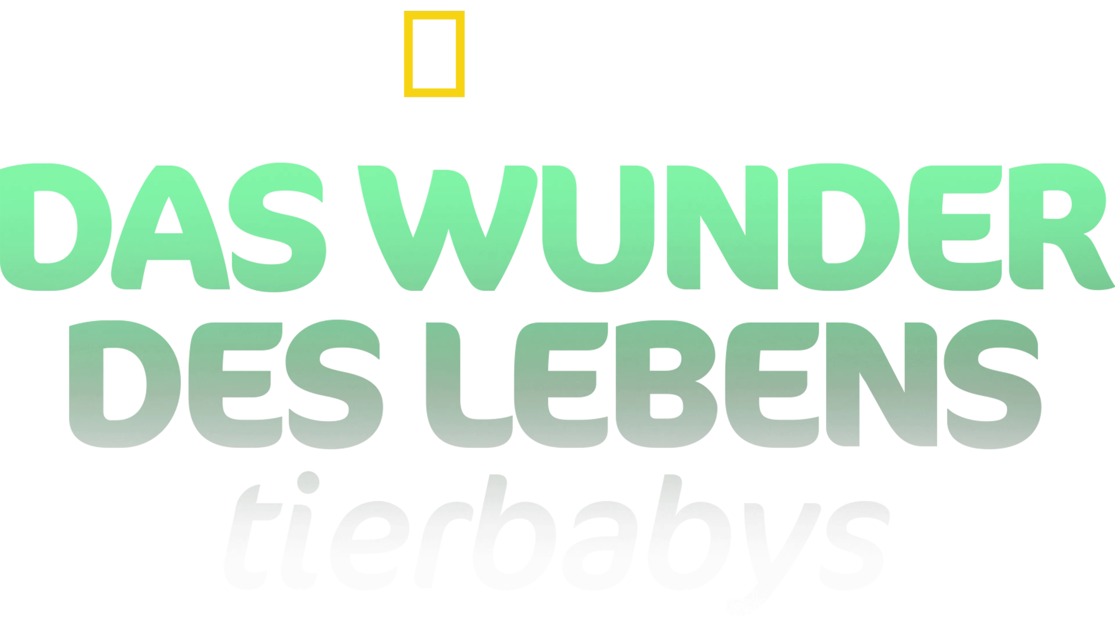 Das Wunder des Lebens: Tierbabys