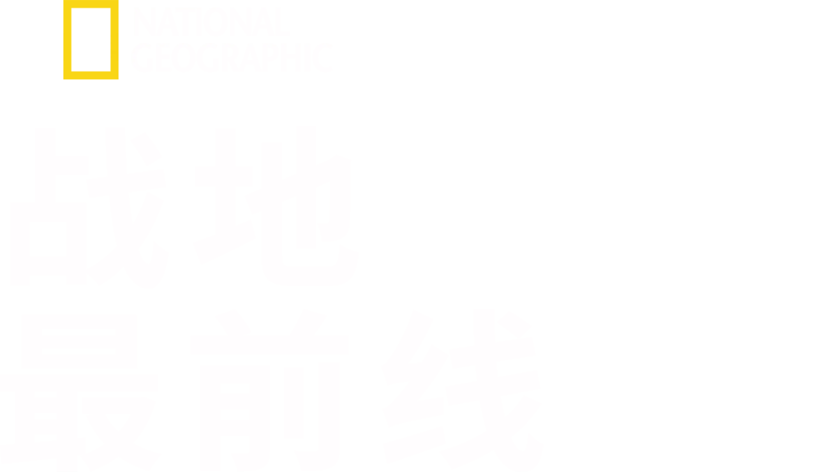 战地最前线