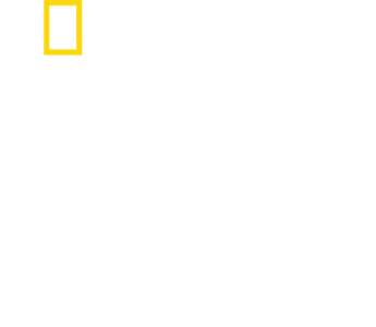 战地最前线