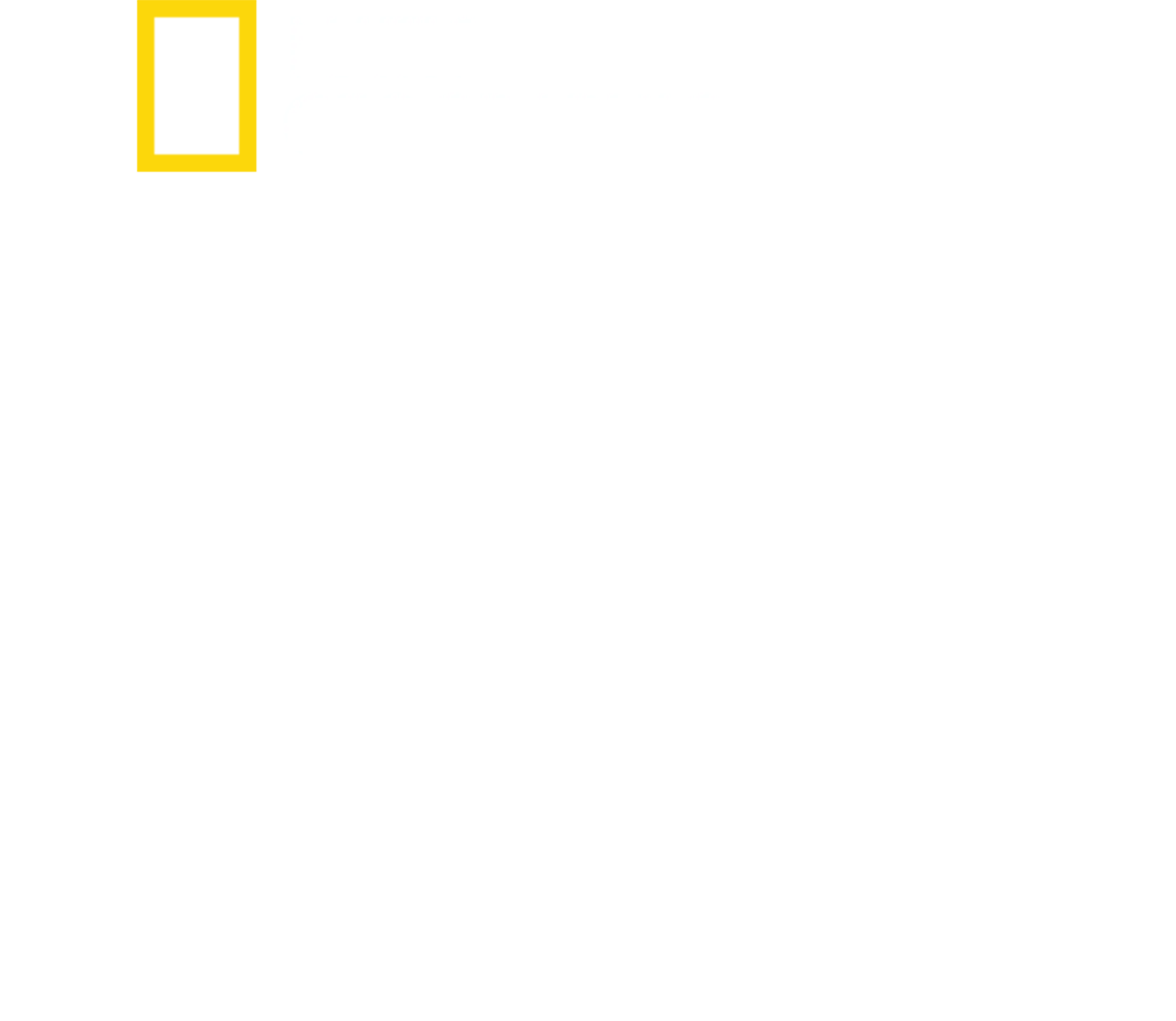 战地最前线