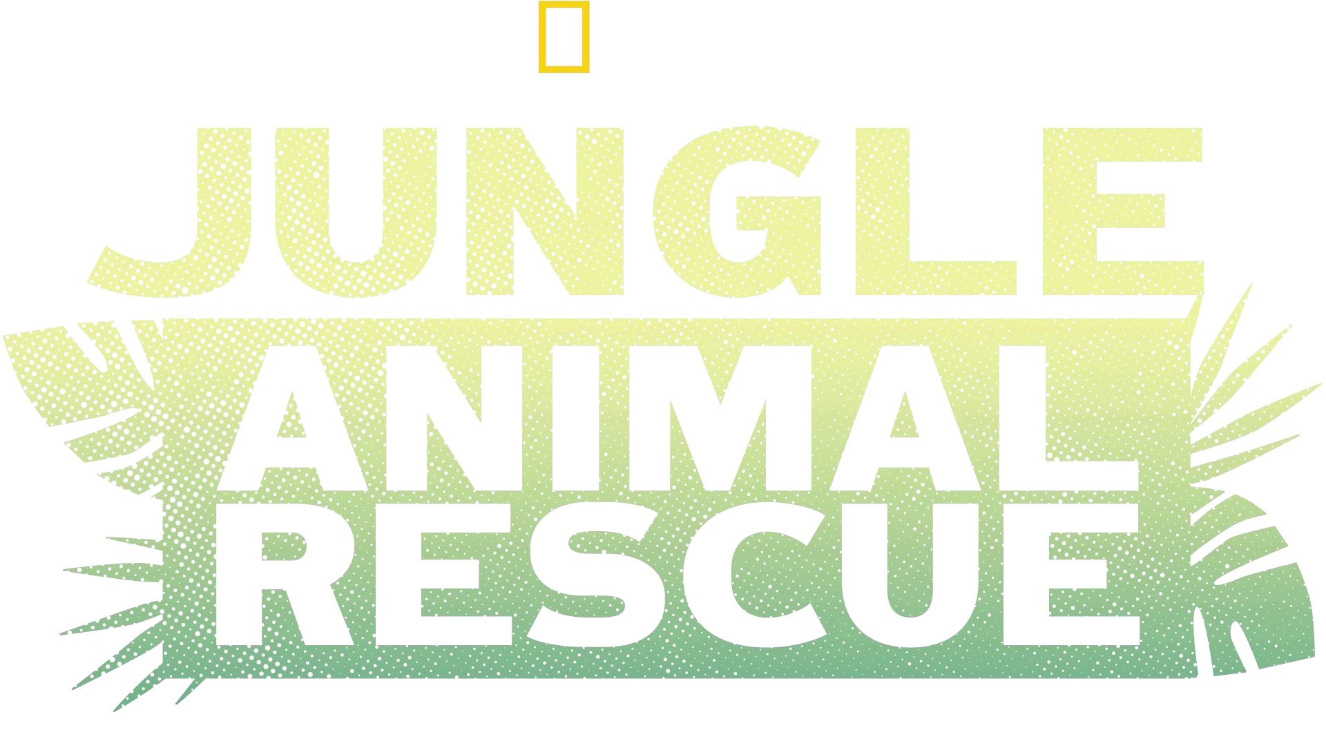 Jungle Animal Rescue