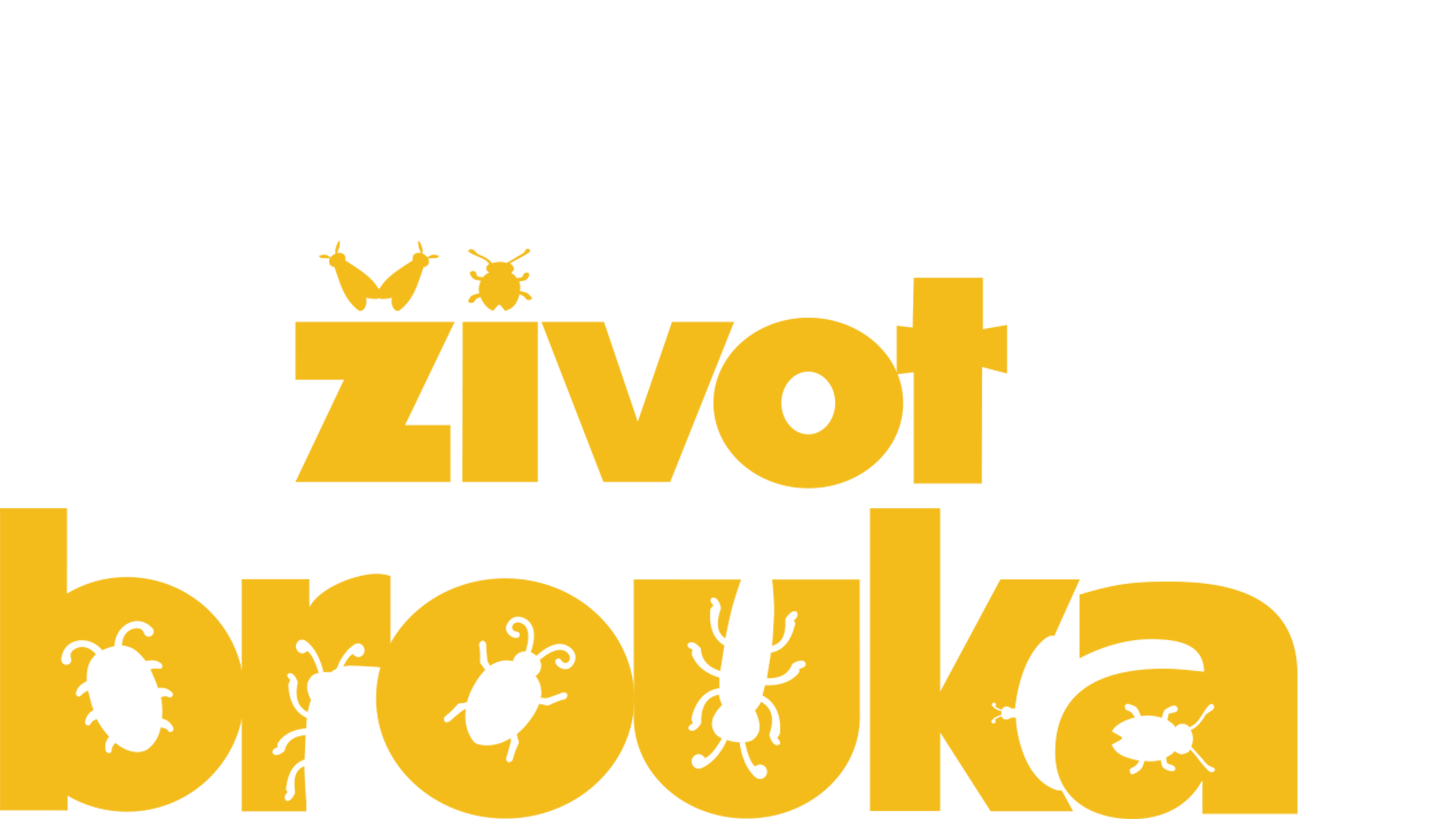Život brouka