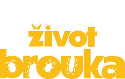 Život brouka