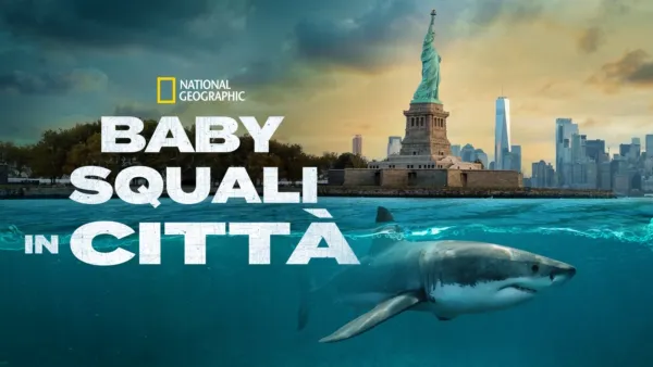 thumbnail - Baby Squali in Città
