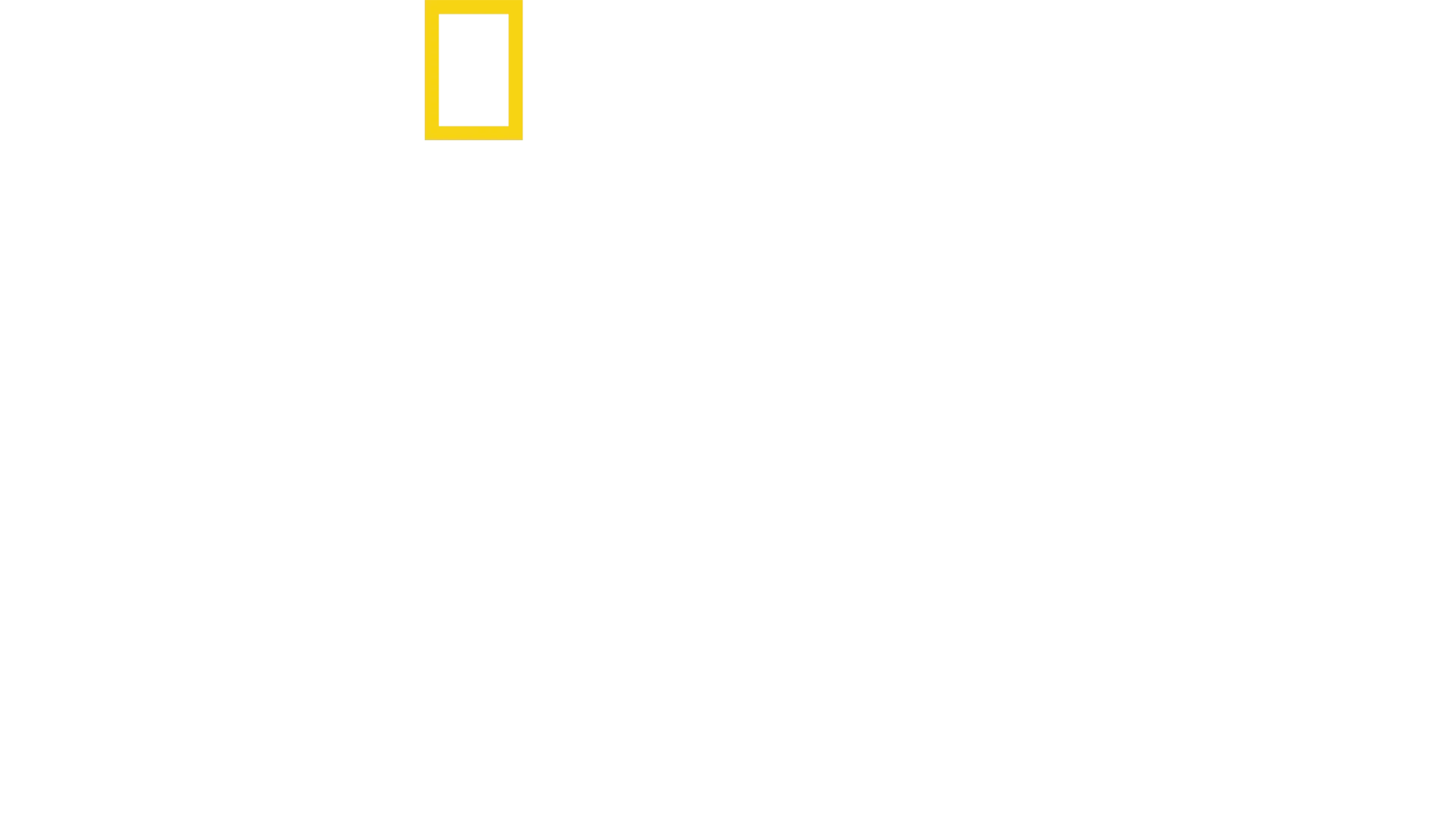 Sabores caseros con Antoni Porowski