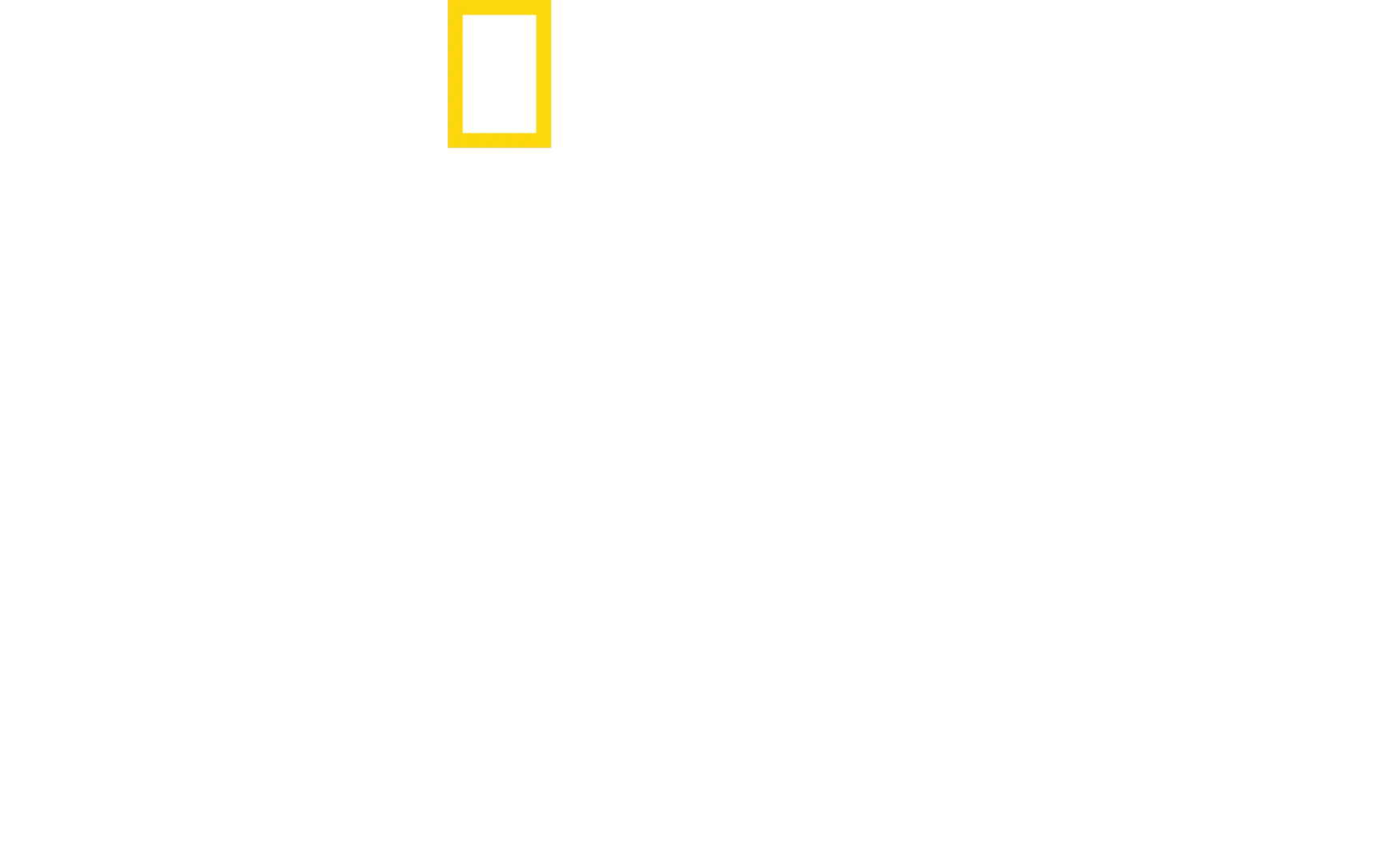 Sabores caseros con Antoni Porowski