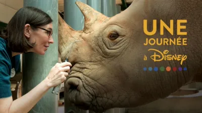 Une Journée à Disney