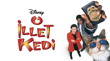 thumbnail - O İllet Kedi