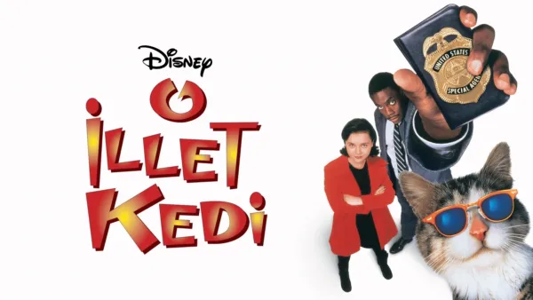 thumbnail - O İllet Kedi