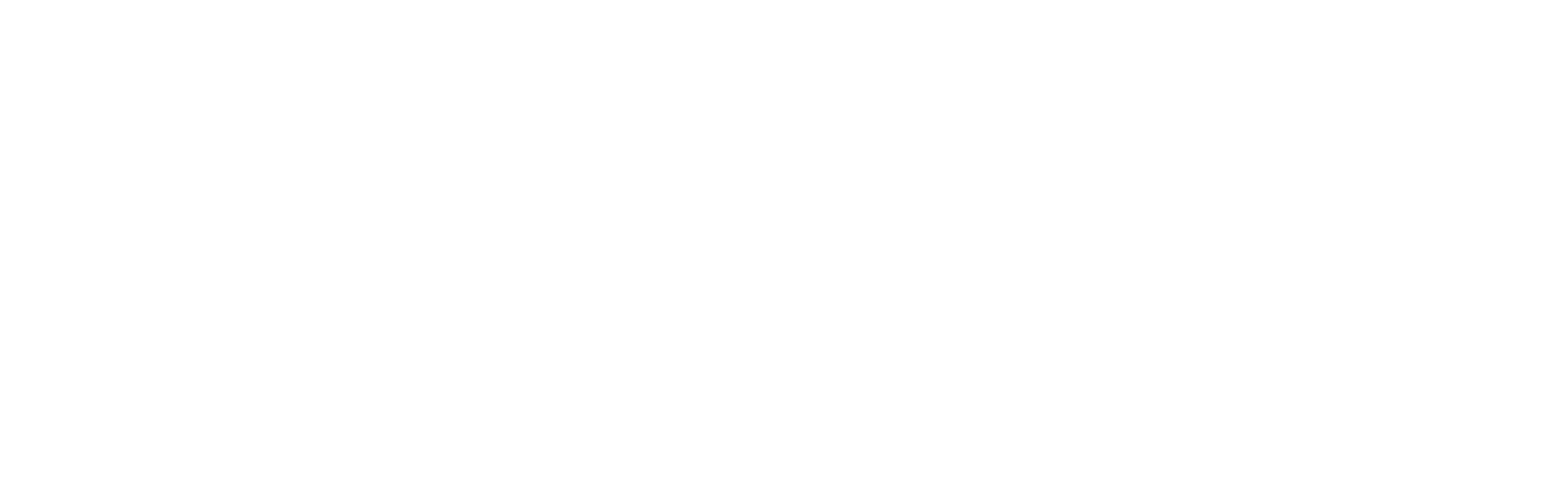 The Valet