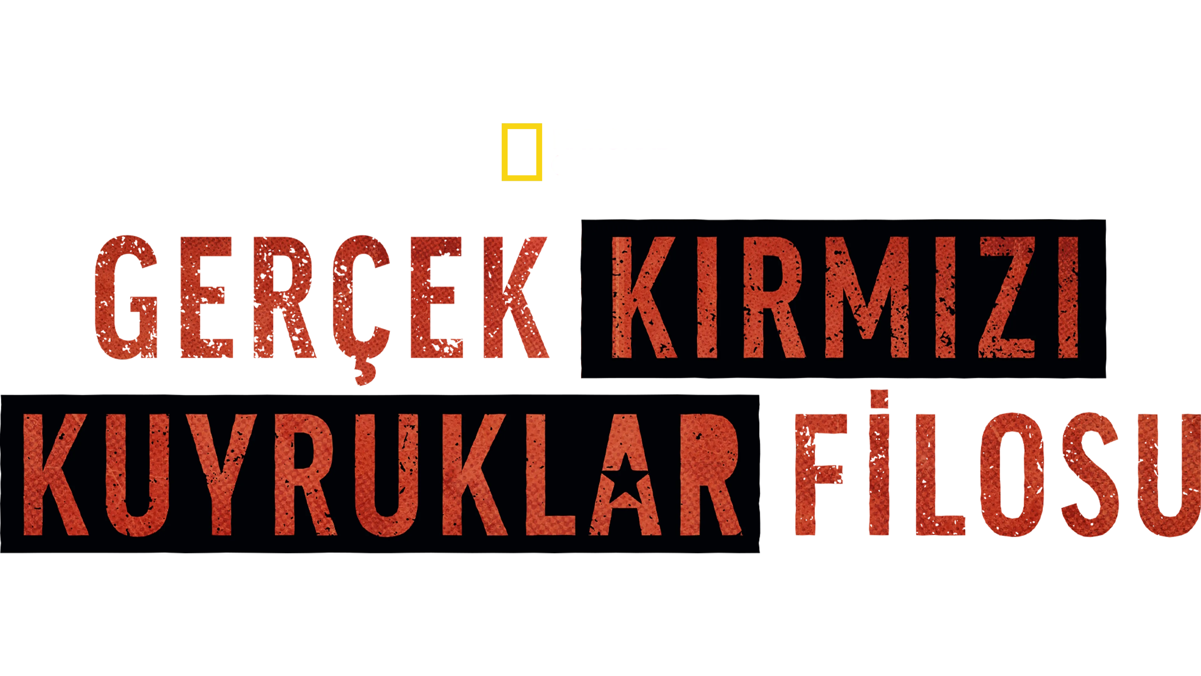 Gerçek Kırmızı Kuyruklar Filosu