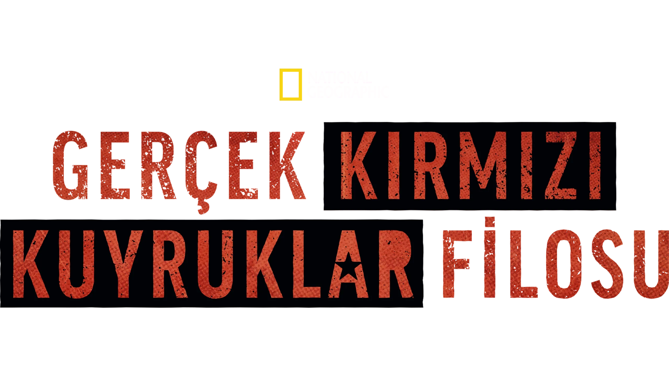 Gerçek Kırmızı Kuyruklar Filosu