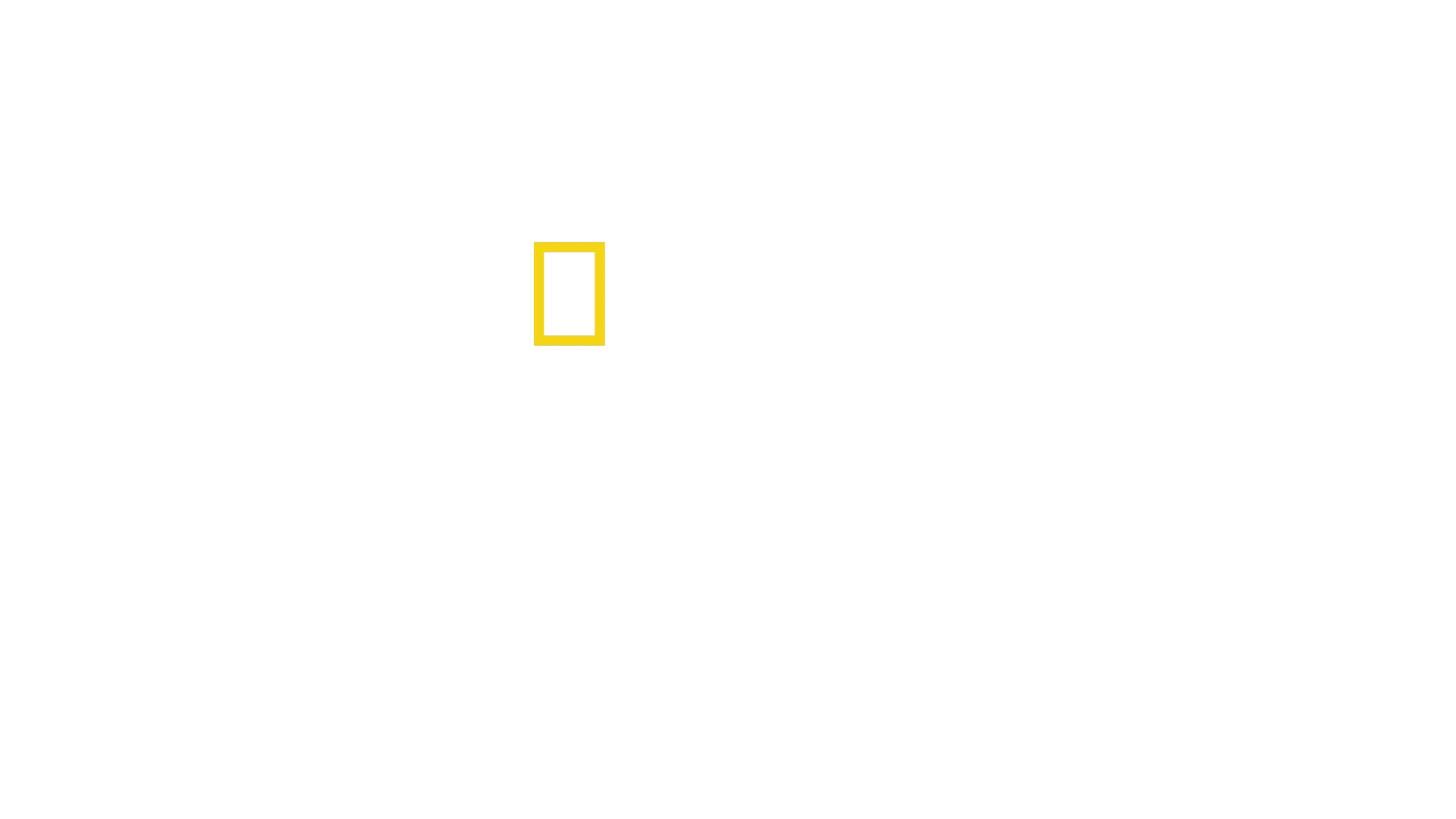 美國國旗製造者