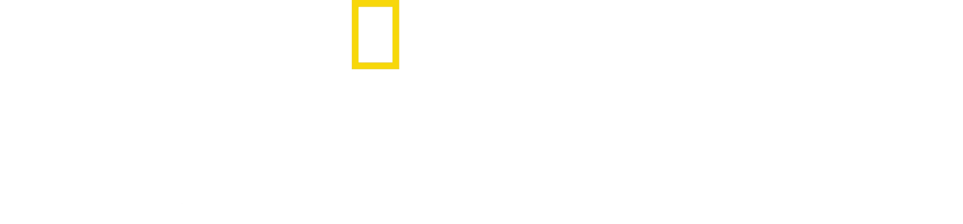 美國國旗製造者
