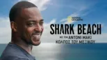 thumbnail - Shark Beach with Anthony Mackie: Gulf Coast