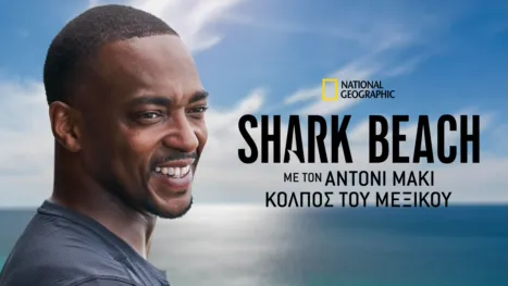 thumbnail - Shark Beach with Anthony Mackie: Gulf Coast