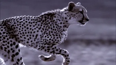 thumbnail - S6:E1 Firepower