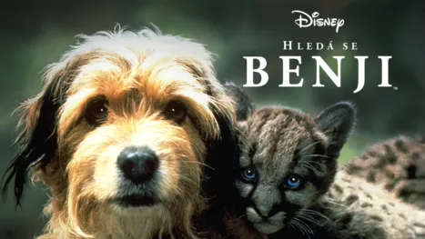 thumbnail - Hledá se Benji