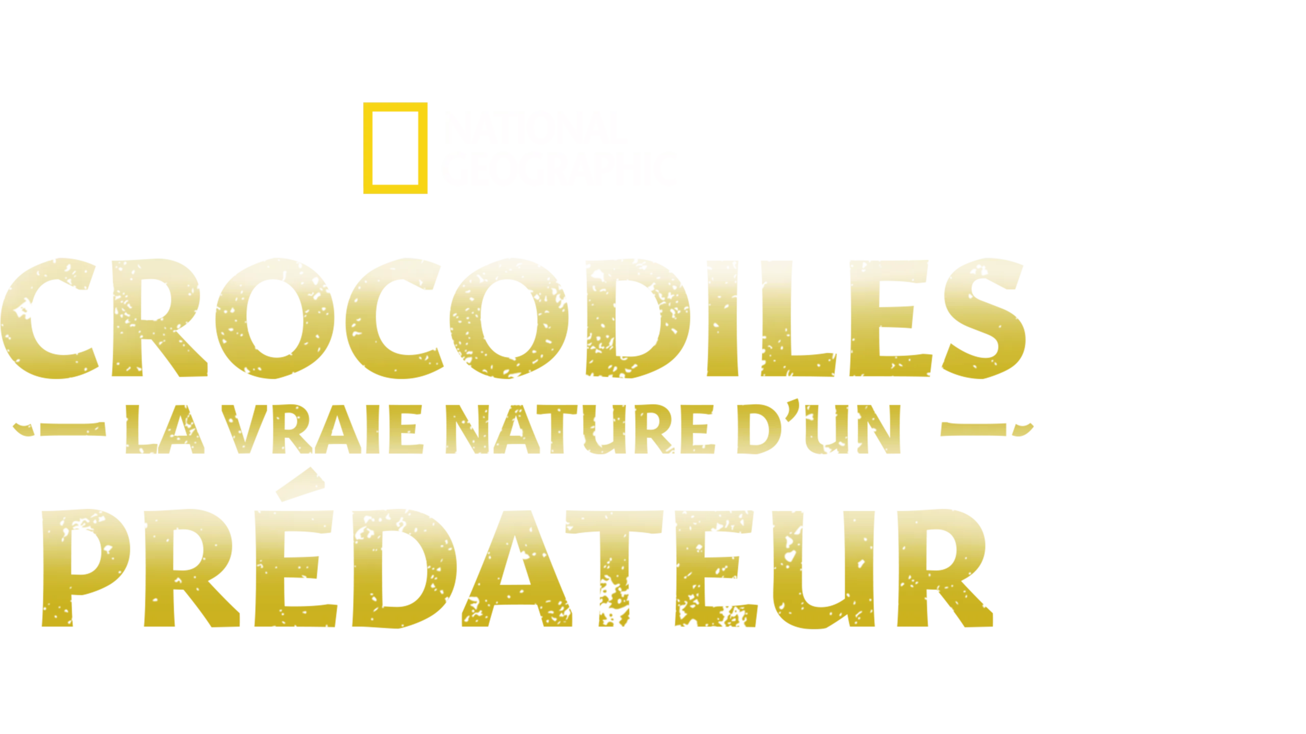 Crocodiles : la vraie nature d’un prédateur